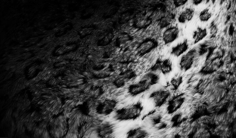 leopard fur texture