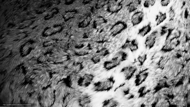 leopard fur texture