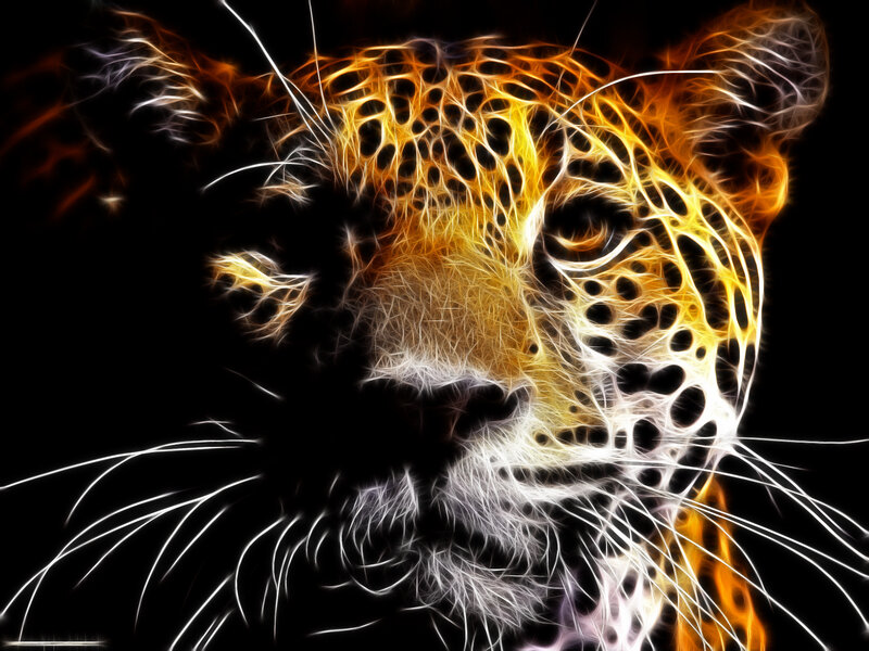 Leopard Head — Black, Dramatic, Digital Art, Fire