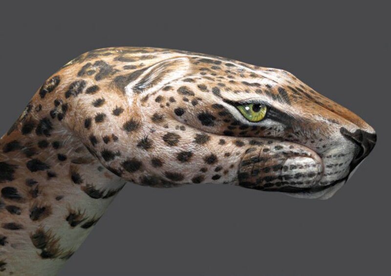 Leopard Head — Brown
