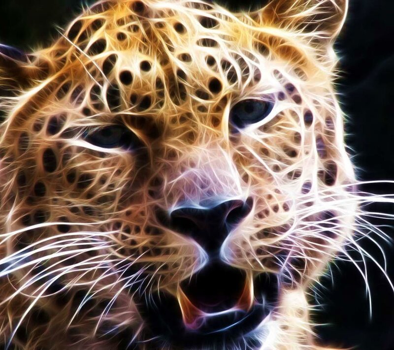 Leopard Head Close-up — Yellow