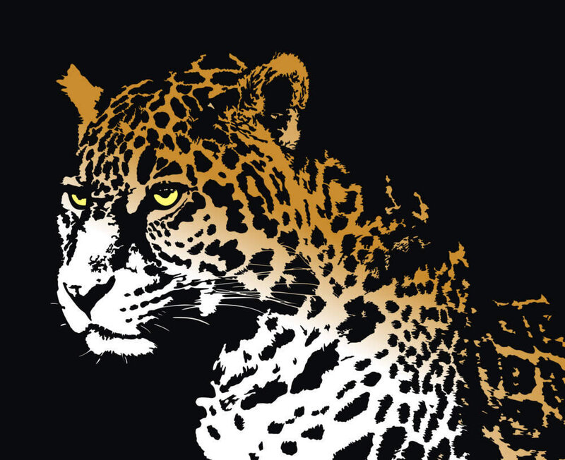 leopard head illustration