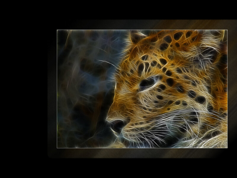 Leopard Head — Orange, Dramatic, Digital Art
