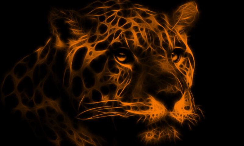 Leopard Head — Orange, Dramatic