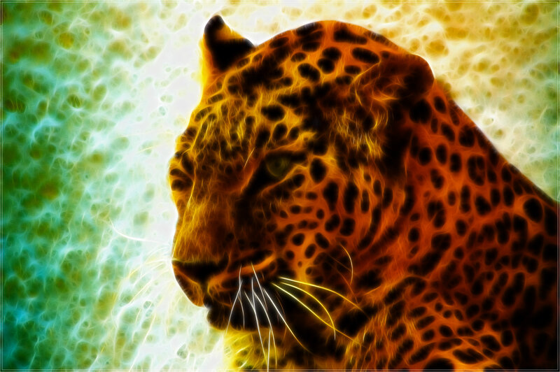 Leopard Head — Orange