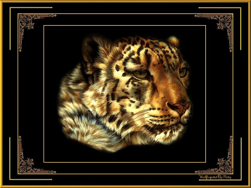 Leopard Head Portrait — Black