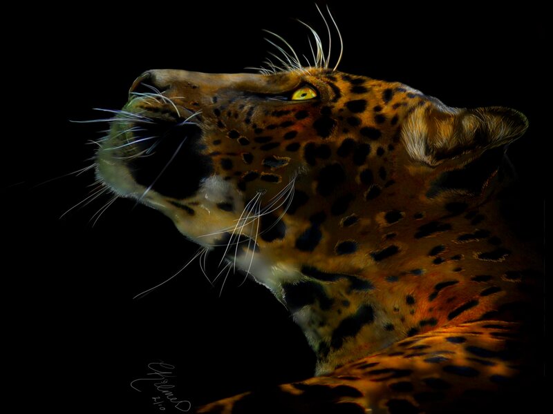 Leopard Head Profile — Black