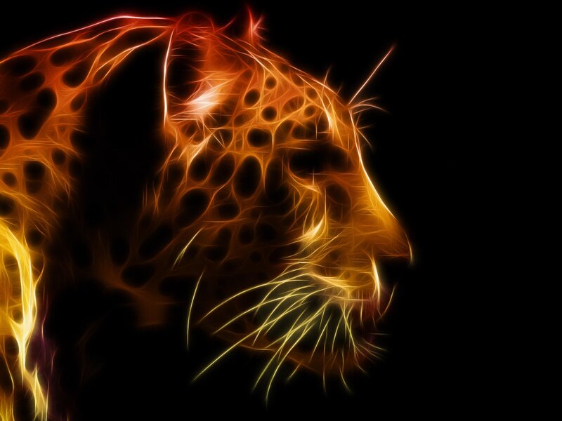 Leopard Head Profile — Orange, Dramatic, Digital Art