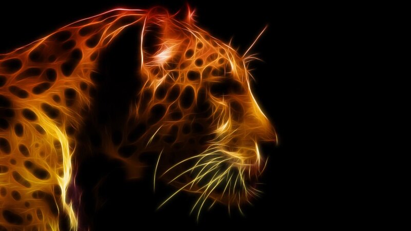 Leopard Head Profile — Orange, Dramatic
