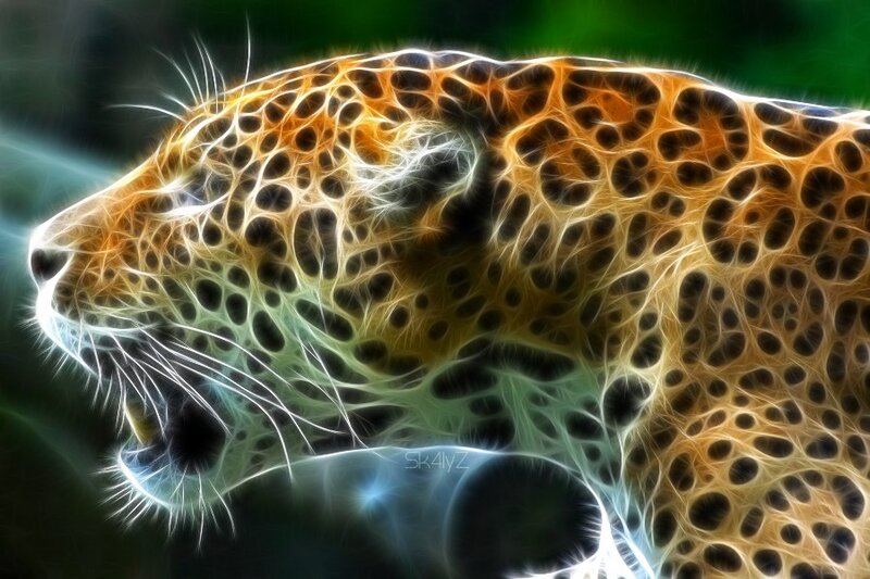 Leopard Head Profile — Orange
