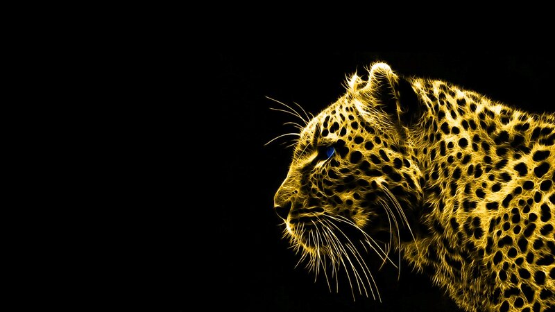 Leopard Head Profile — Yellow, Dramatic