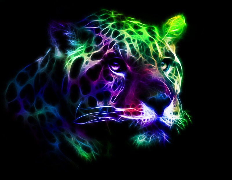 Leopard Head