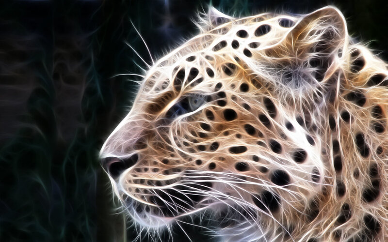 Leopard Head — White, Dramatic, Digital Art, Spots