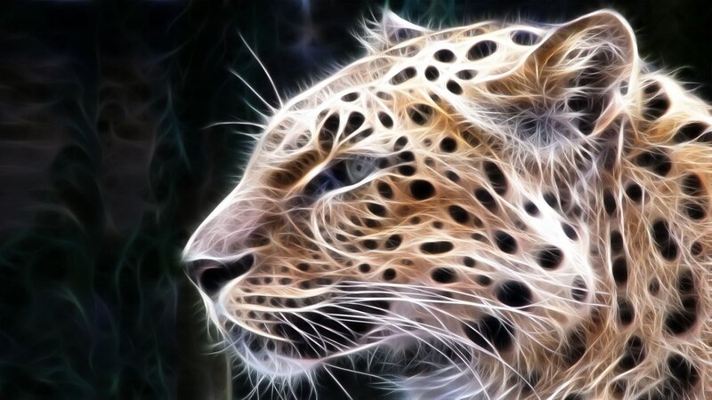 Leopard Head — White, Dramatic, Digital Art