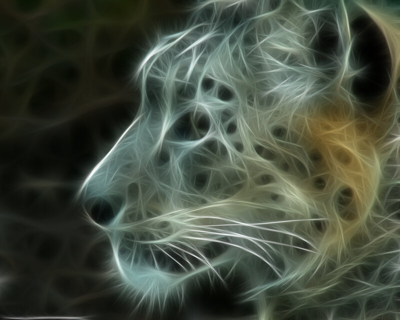 Leopard Head — White, Ethereal