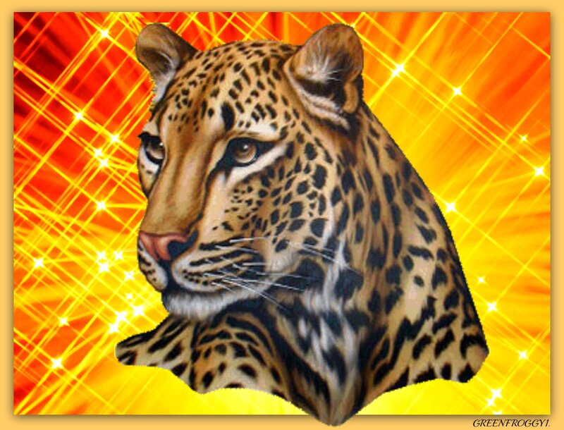Leopard Head — Yellow, Dramatic