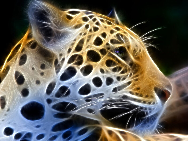 Leopard Head — Yellow