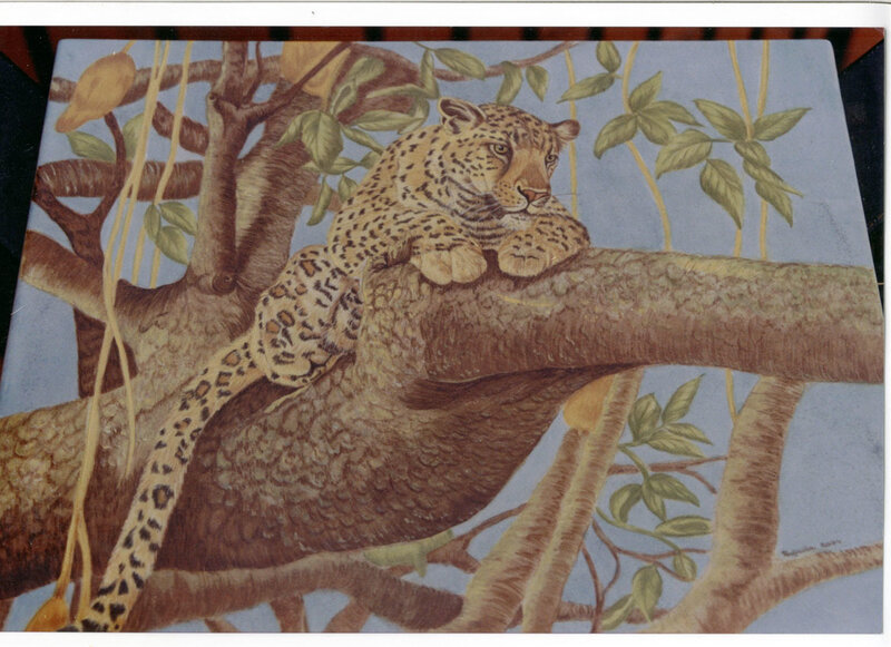 Leopard in a tree