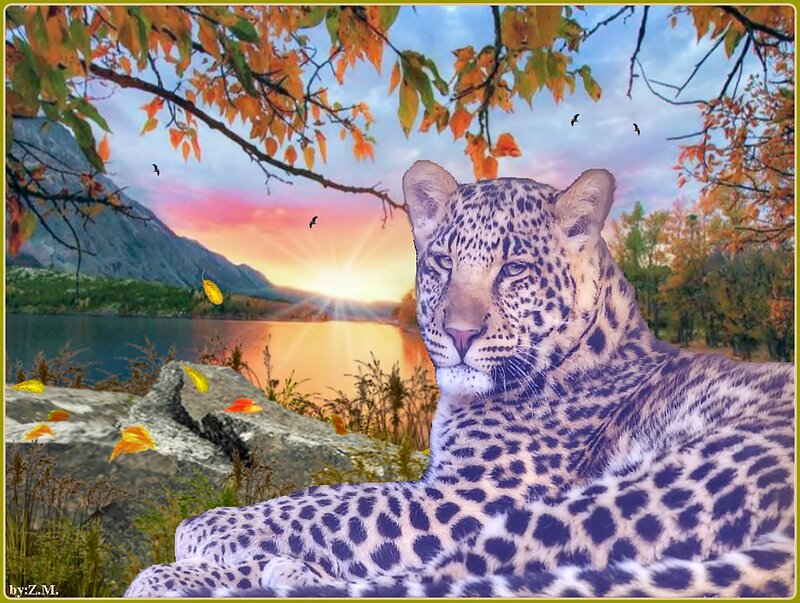 Leopard in Autumn Landscape