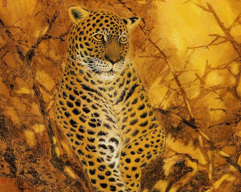Leopard in Brush