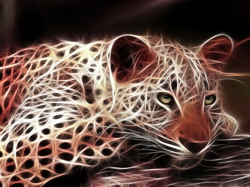 Leopard in Digital Art — White