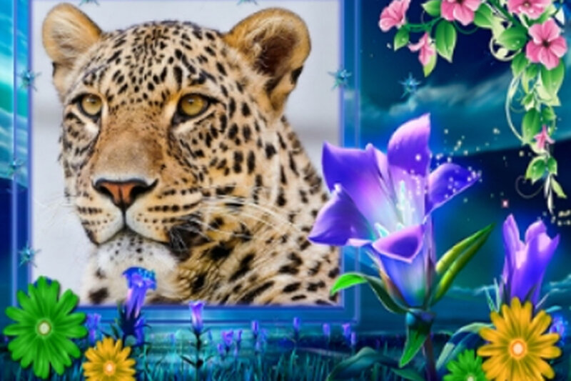 Leopard in Floral Frame