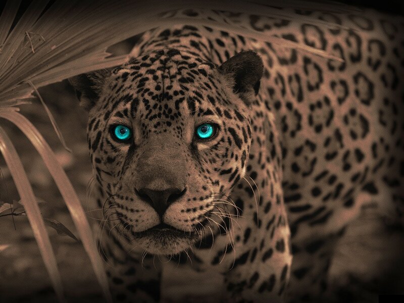 Leopard in Foliage — Brown, Intense