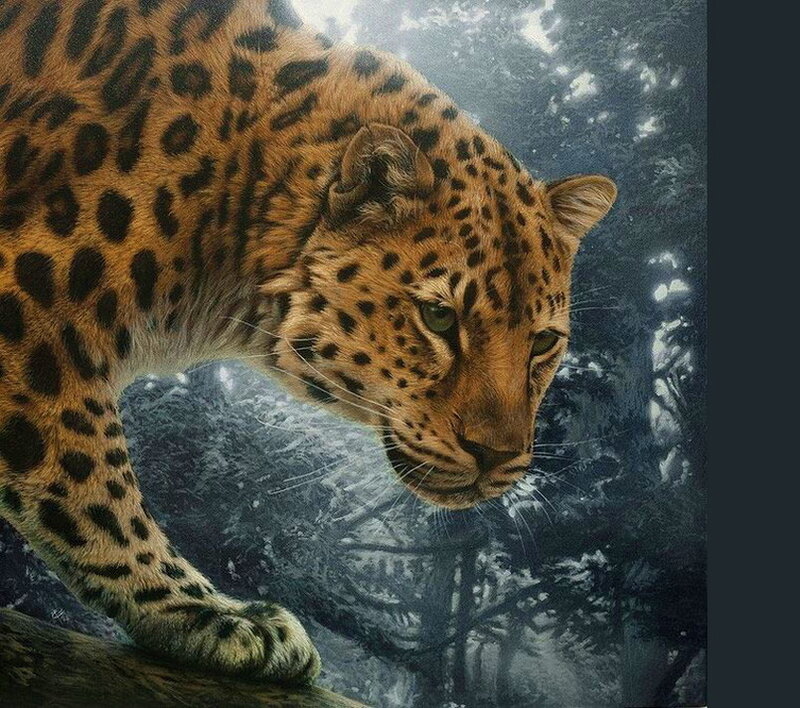 Leopard in Forest — Brown, Dramatic