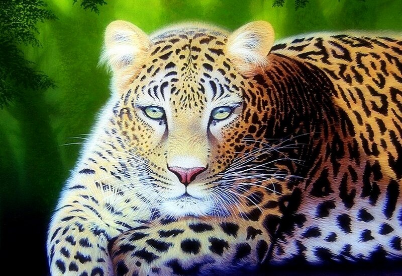 Leopard in Forest — Green, Calm, Digital Art