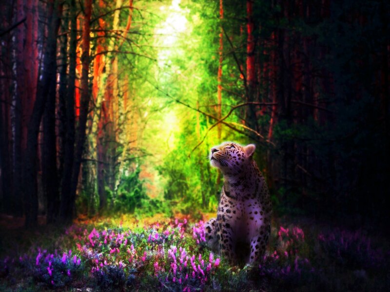 Leopard in Forest — Green, Serene