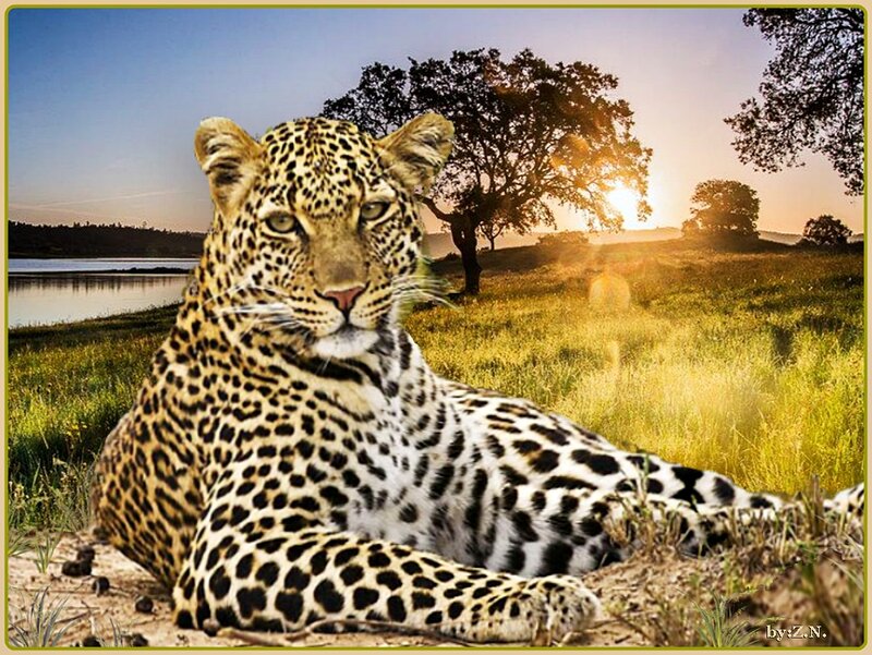 Leopard in Grass — Yellow, Serene