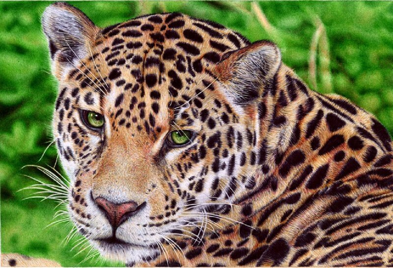 Leopard in Green Foliage — Brown