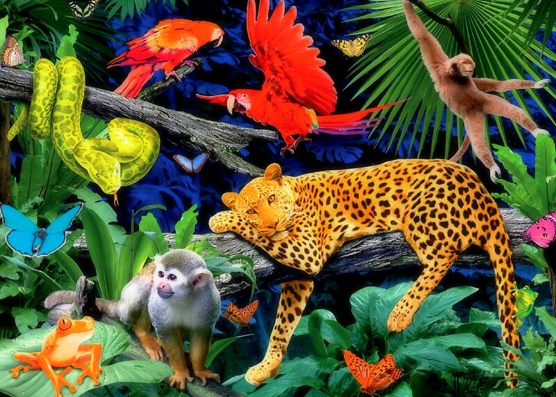 Leopard in Jungle — Green