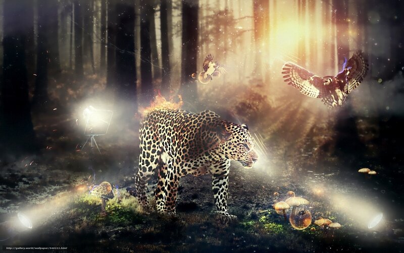Leopard in mystical forest