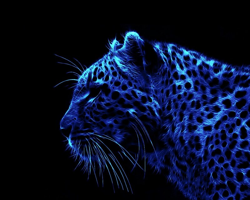 Leopard in Neon Blue