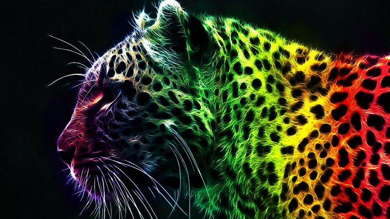 Leopard in Neon Colors