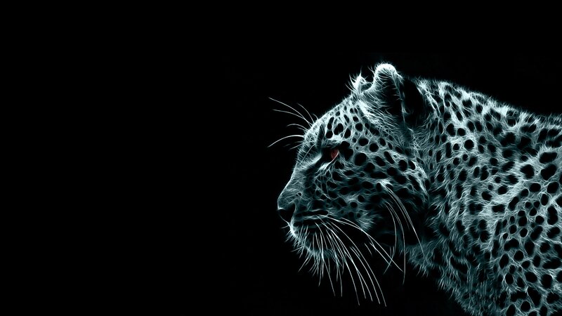 leopard in neon light