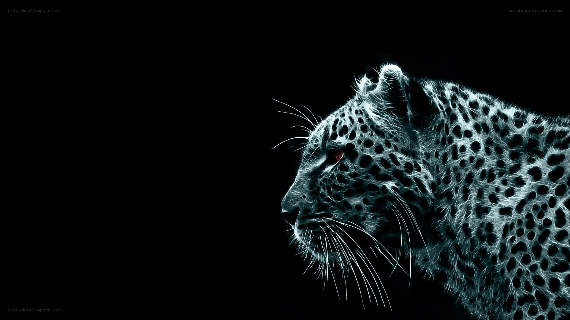 leopard in neon light