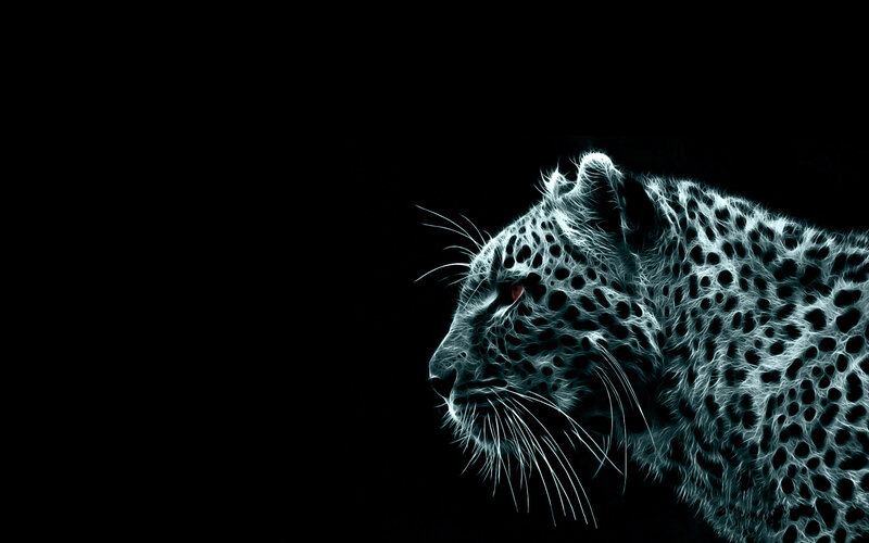 leopard in neon light