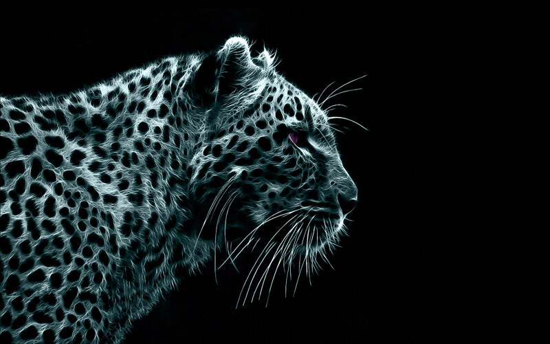 leopard in neon light