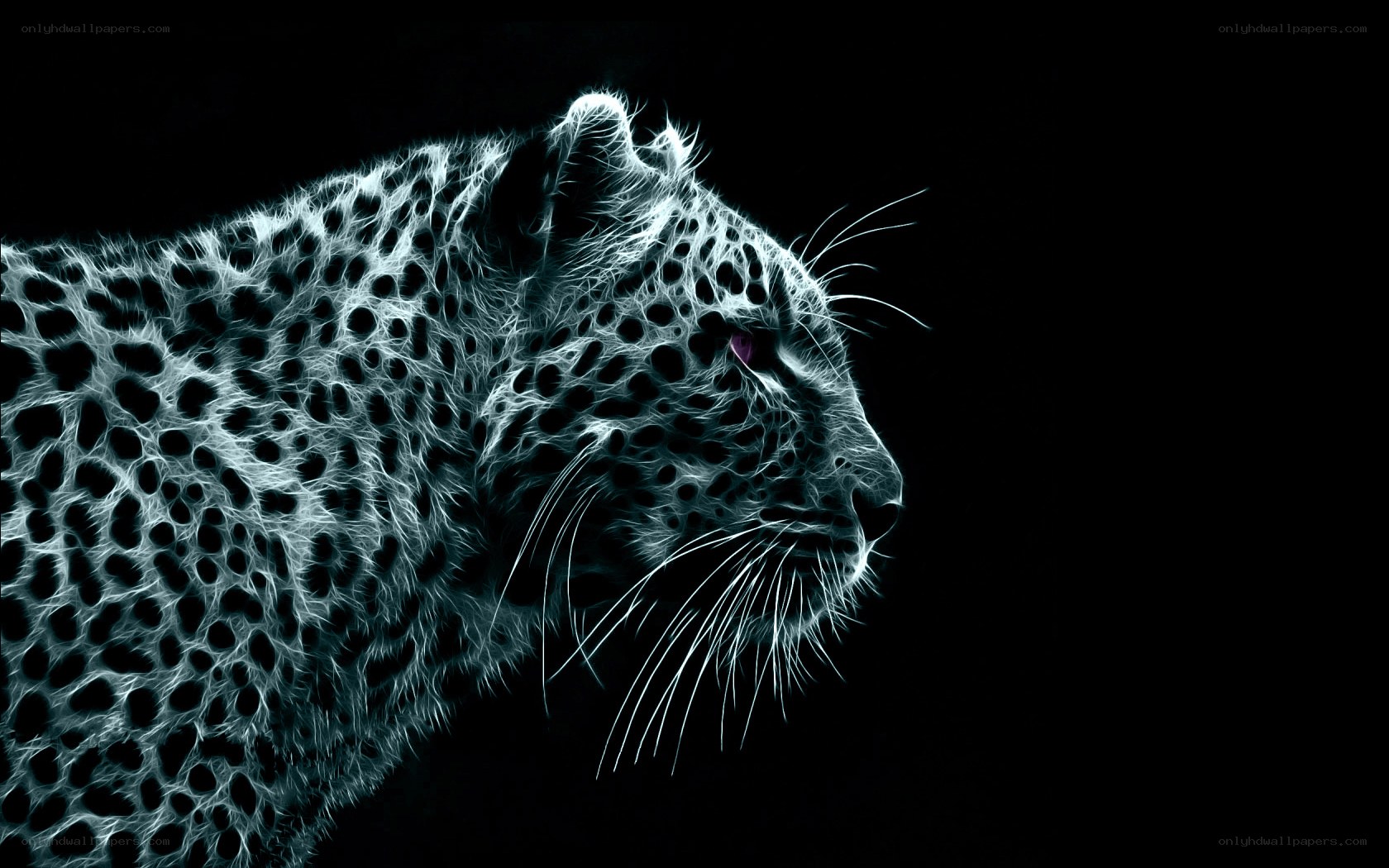leopard in neon light