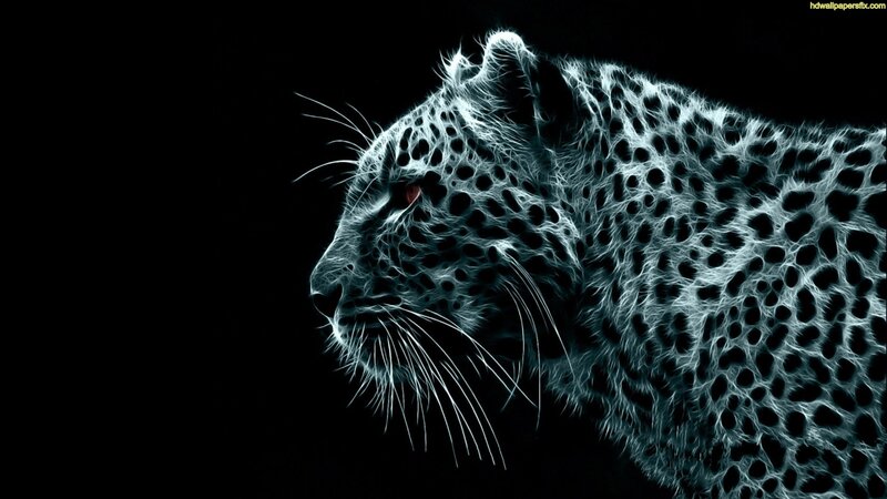 Leopard in Neon Light — Black