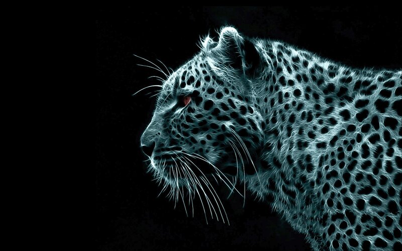 Leopard in Neon Light — White
