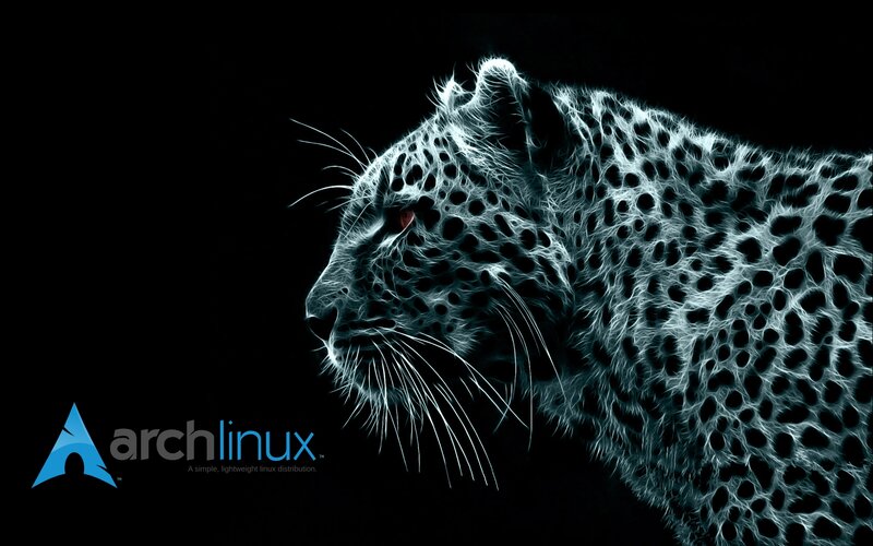 Leopard in Neon Style — Black, Dramatic