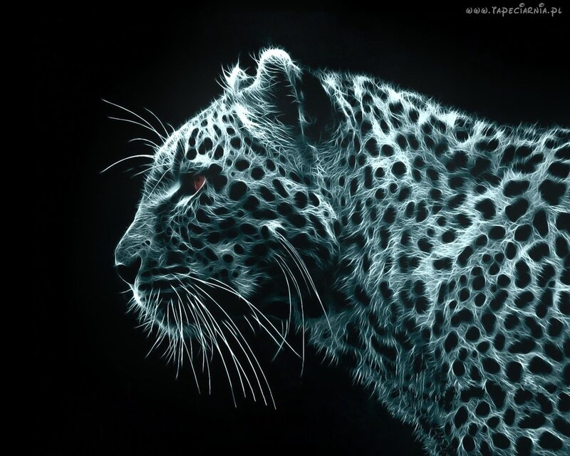 Leopard in Neon Style — Black