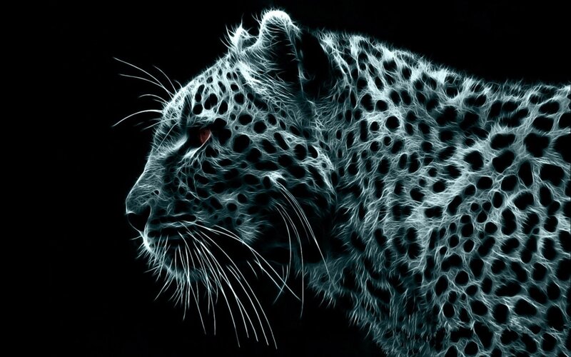 Leopard in Neon Style — White, Dramatic, Digital Art, Neon Effect, Black Background