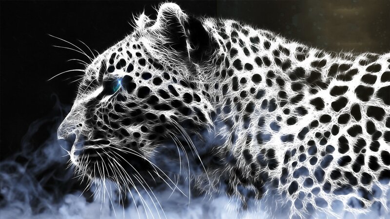 Leopard in Neon Style — White, Dramatic