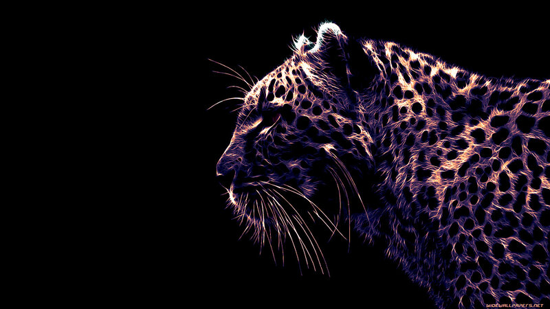 Leopard in Profile — Black, Dramatic, Digital Art, Black Background