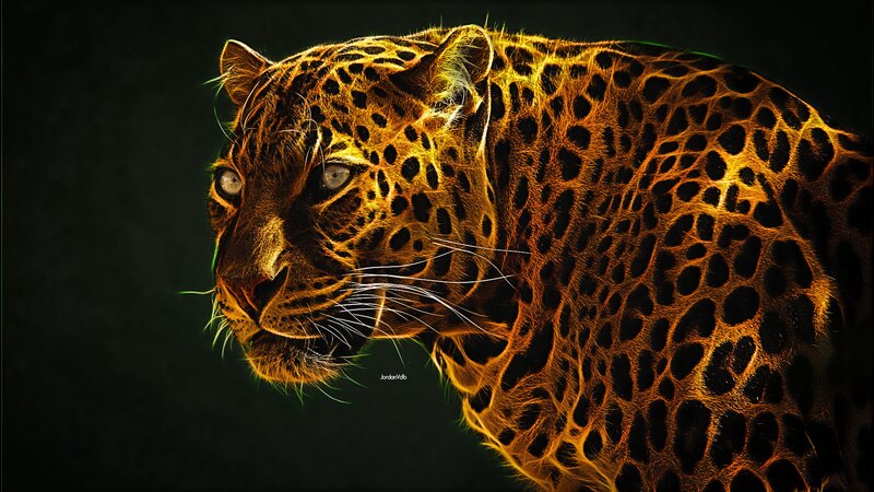 Leopard in Profile — Black, Dramatic, Digital Art, Dark Background, Whiskers