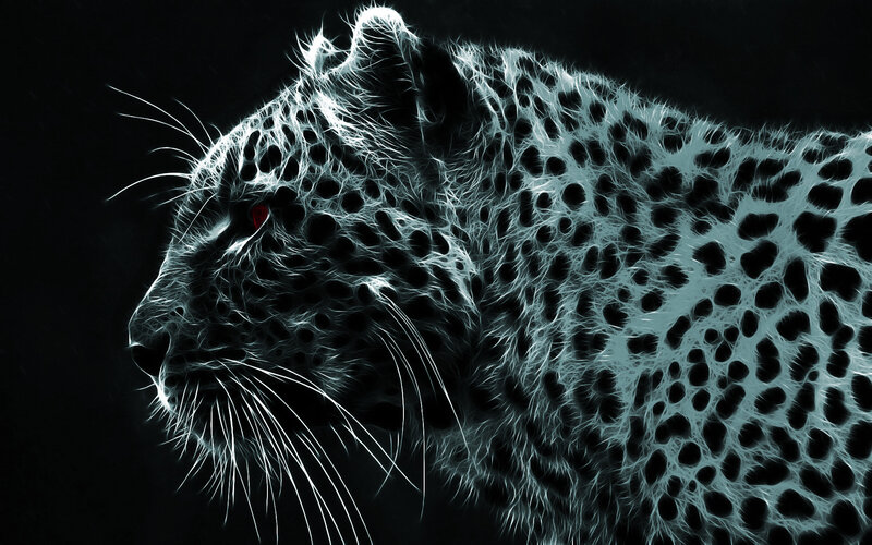 Leopard in Profile — Black, Dramatic, Digital Art, Eyes